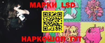 гидра Будённовск