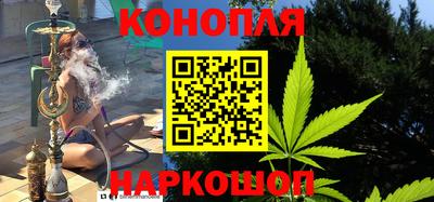 гидра Будённовск