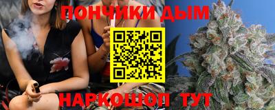 гидра Будённовск
