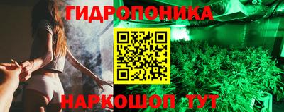 гидра Будённовск