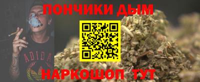 гидра Будённовск