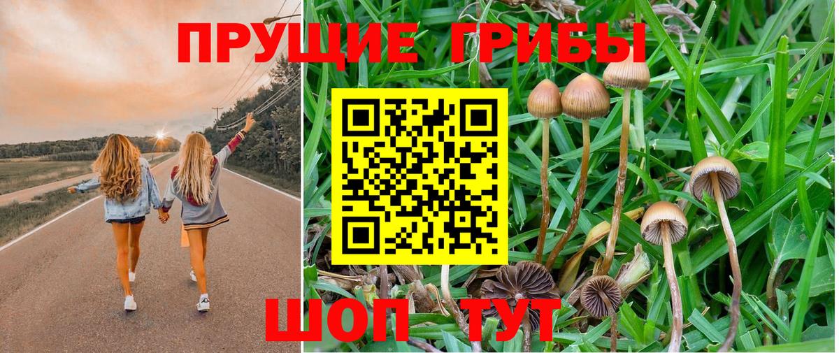 Протвино  Галлюциногенные грибы прущие грибы  Галлюциногенные грибы мицелий  Вход с VPN 